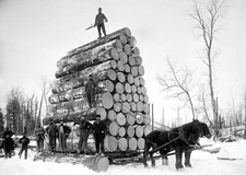 1905 Hauling Huge Logs PHOTO Lumberjacks Work Logging Michigan Horse Sled Ax Men