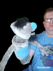 Bild 5 von 10