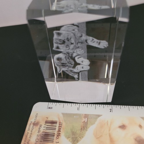 Crystal Glass Paperweight Cube 3D Laser Etched Kittens On Bench 3"x2"x2" - Picture 7 of 9