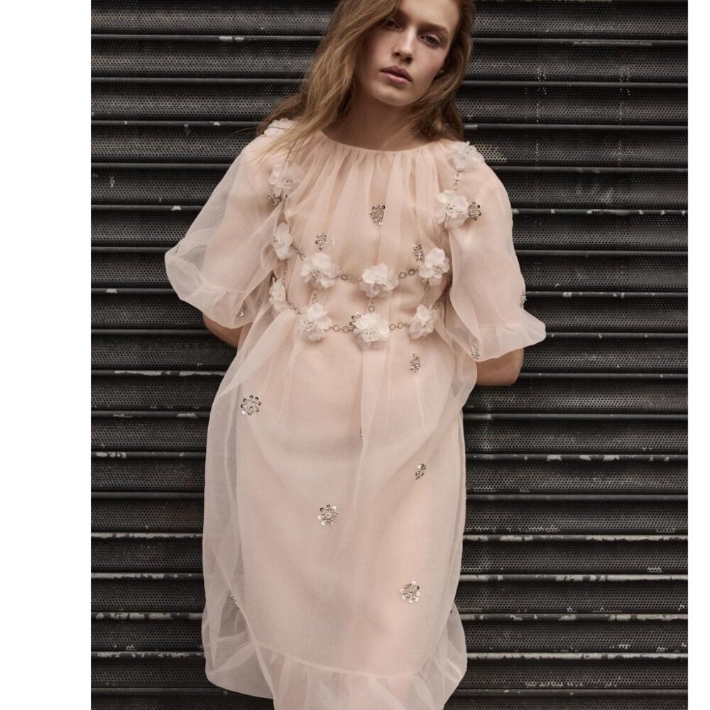 Zara Women $159 ORGANZA JEWEL DRESS Light PINK 5344/903 NWT