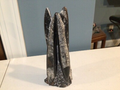 8'' Multi Orthoceras Fossl Tower Polished Fossilized Mineral Figurine - Morocco