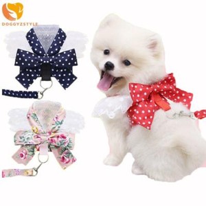 dog harness girly