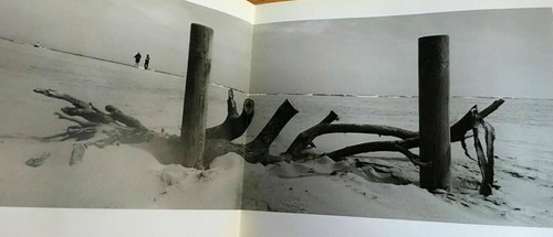 2006 JOSEF KOUDELKA "CAMARGUE" Stated First Edition ACCORDION PANORAMA Actes Sud - Picture 3 of 7