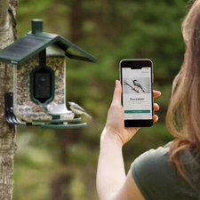 FeatherSnap Scout Solar Powered Smart Bird Feeder Wi-Fi HD Camera AI Recognition
