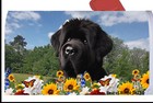 Bouvier des Flandres Summer Flowers Mail Box Cover