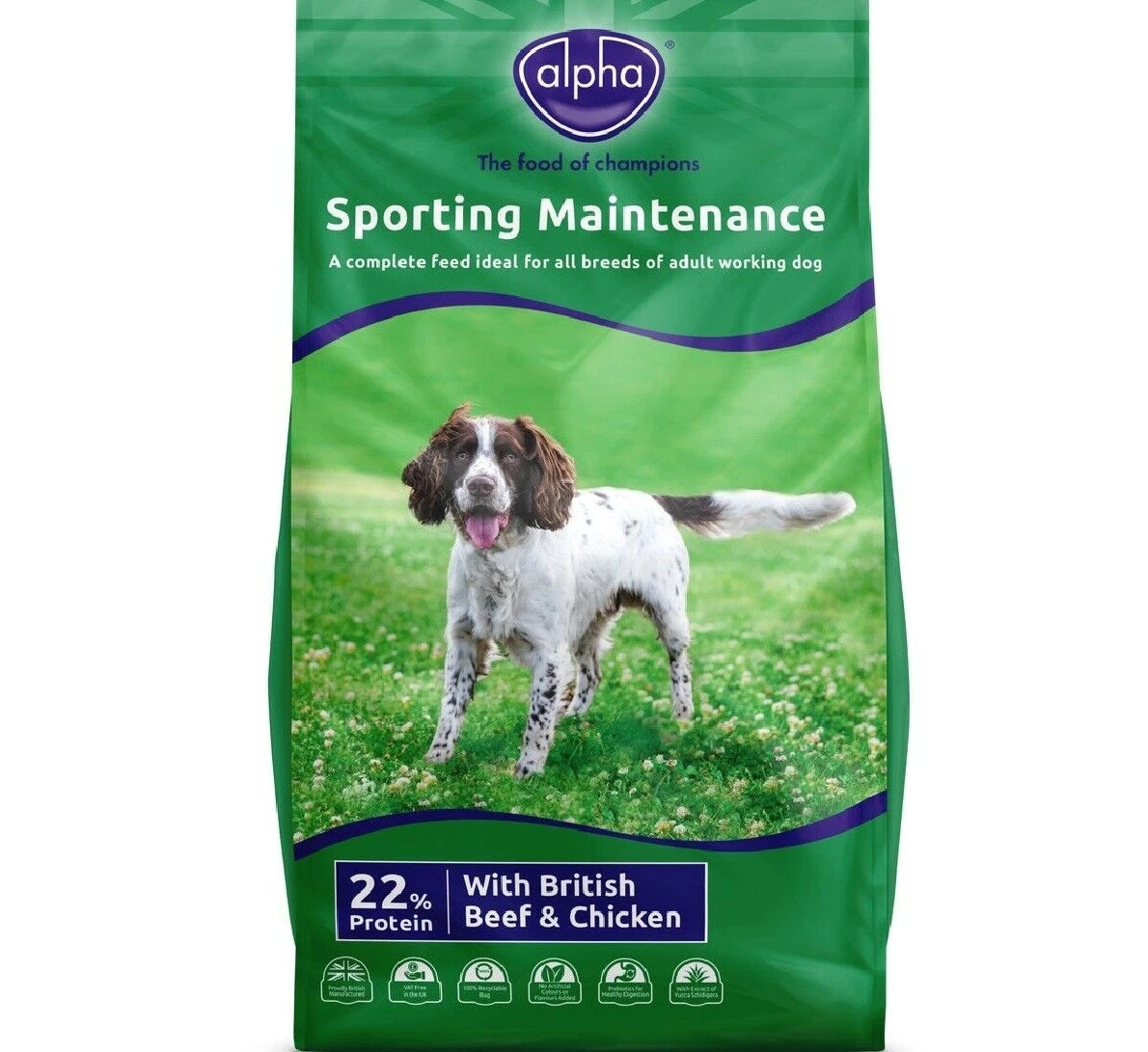 Sporting hotsell dog supplies