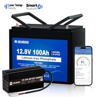 Lifepo4 Akku 12V 100Ah 150Ah 165Ah 200Ah Lithium Batterie Mit 20A LadegeräT