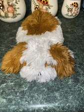 Aurora Murphy floppy dog white and brown