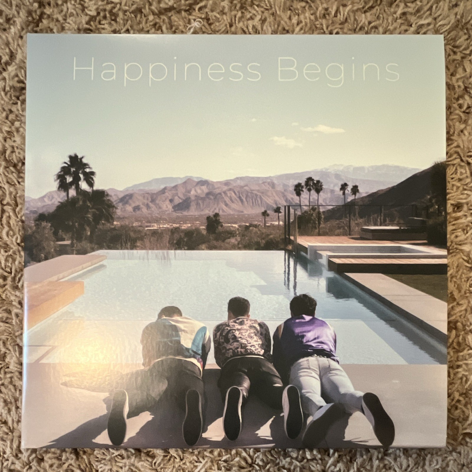 Happiness Begins Vinyl LP
