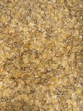 20kg Flaked Maize Carp & Coarse Fishing Bait 1.00 per kilo