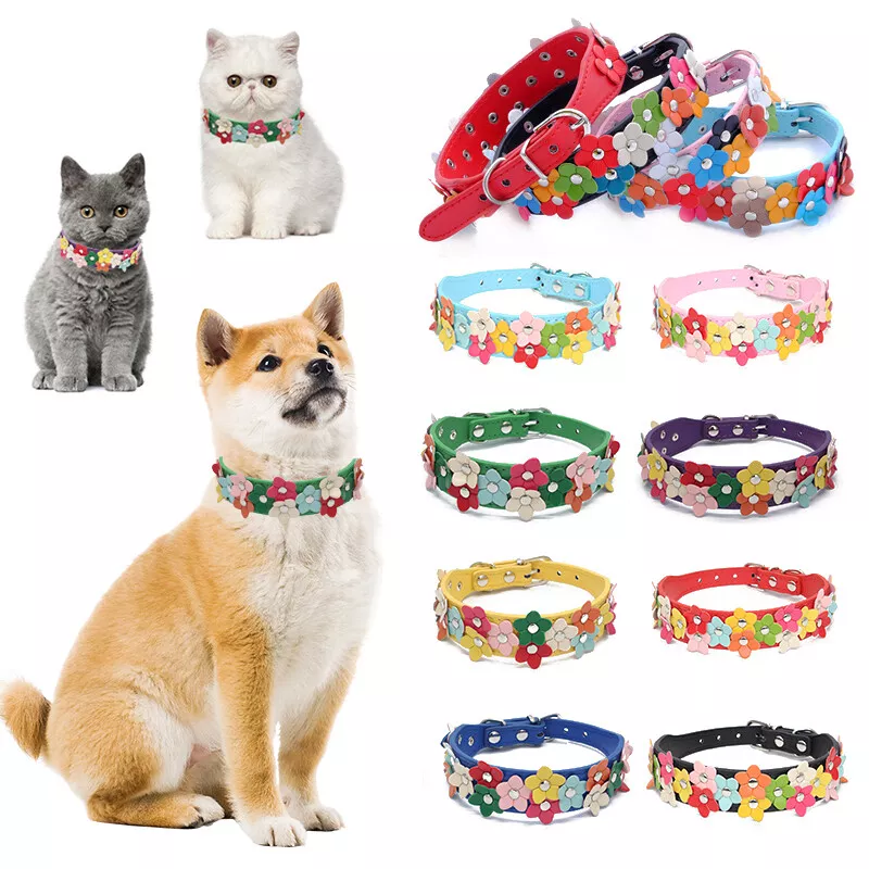 Dog neck store belt online