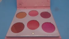 Ofra Mini Mix Face Palette BLUSHFUL BLUSH 6-SHADES New FULL SIZE $39