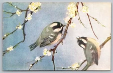 Medici Bird Series Coal Tit Painting by Eva Soper Postcard