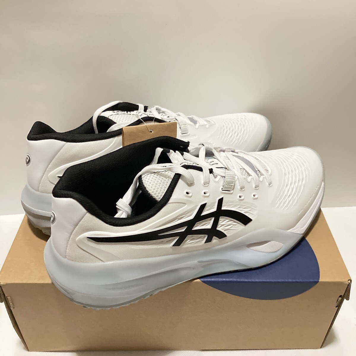 ASICS GEL-RESOLUTION X OC (Omni-Clay) 1041A502 100 White