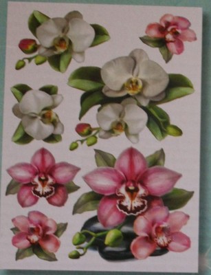 Bogen Diamond Painting-Sticker ''Blütenträume 3'',mit Material,Jittenmeier