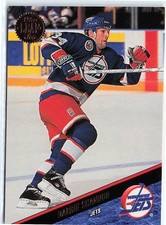 1993-94 Leaf #194 Darrin Shannon Winnipeg Jets