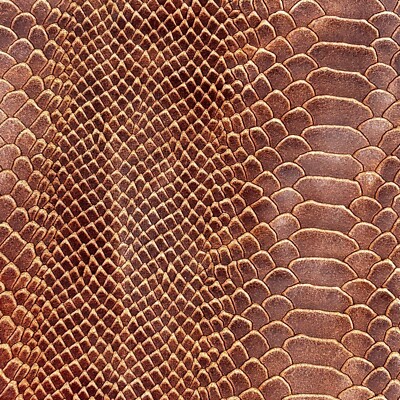 Sofia Italian Suede Leather Python-Embossed Tote Bag