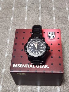 Luminox F 16 | eBay
