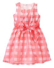 Gymboree Picnic Party Petal Pink Gingham Organza Dress Girls 6 NEW NWT