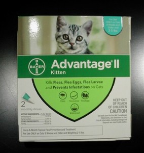 advantage 2 small cat