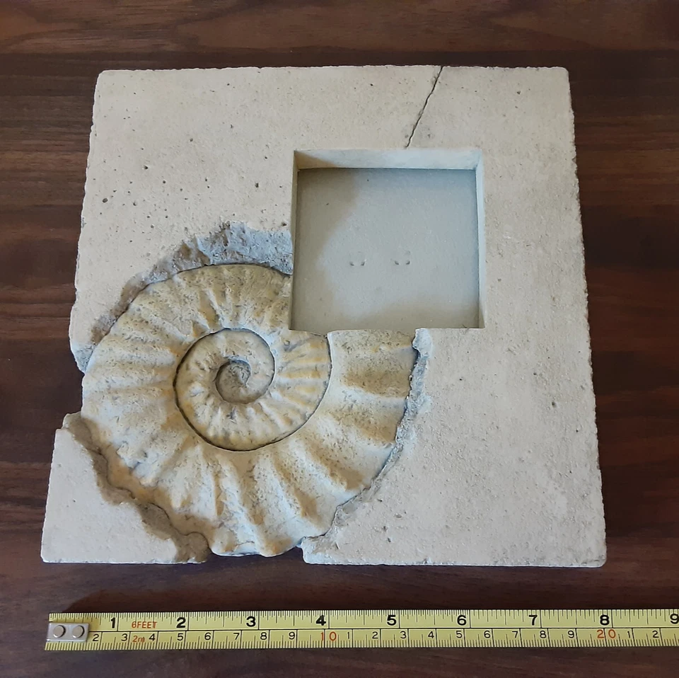 Réplica de amonita fósil imitación resina piedra marco de fotos 8x8" (foto de 3x3") ¡RARO! Foto 3 de 4