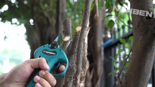 4 Gänge Akku Astschere 30mm Elektrisch Gartenschere Strauchscheres Baumschere - Video 1 von 1