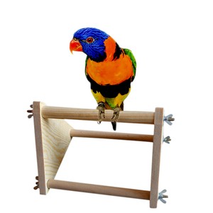 Parrot Bird Perch Stand Play Fun Toys Gym Wooden Activity Table Top Image Is Loading Parrot Bird Perch Stand Play Fun Toys Gym