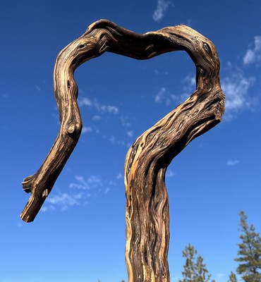 Large Manzanita Driftwood, Reptile Tank, aquascape Or Terrarium, Custom Sizes