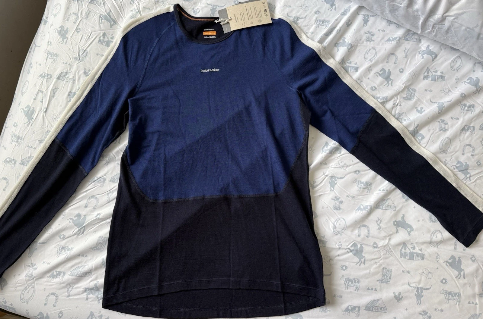 Icebreaker 200 Merino Men's Base Layer Top M Blue/Black Colorblock Thermal LS