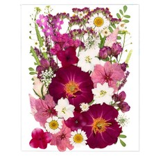 SUAUKEY 52 Pcs Red Dried Pressed Flowers for Resin, Real Natural Bulk Dry Wil...