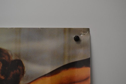 PINK FLOYD - BACK ART POSTER - 62x21 ALBUMS SEXY GIRLS - Picture 7 of 11