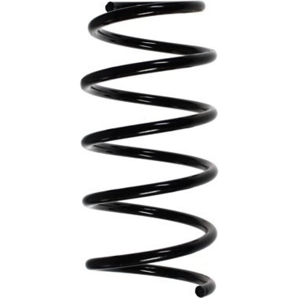 Spidan 49057 Fahrwerksfeder FüR Renault Clio B C57 5 357-image