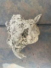 Natural Driftwood for Plants Terrarium Taxidermy Art Projects