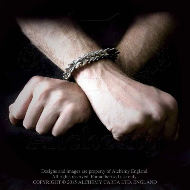 Alchemy Gothic Vertebrae Pewter Bracelet Metal Spine Bone Links Chain Punk A29 - Image 3 of 4