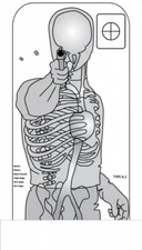 Tactical Anatomy Targets [24" x 37"], Choice of Styles, 25 pack, Declassified