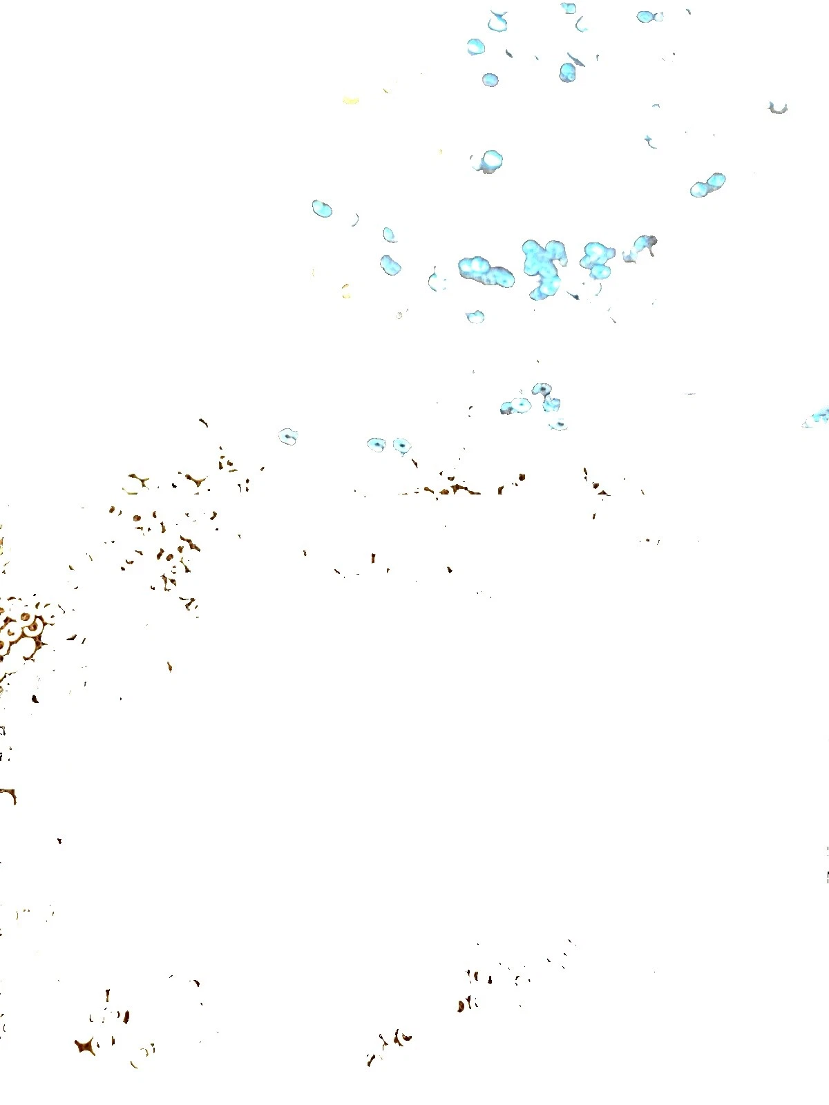 Sequin Fabric Panels