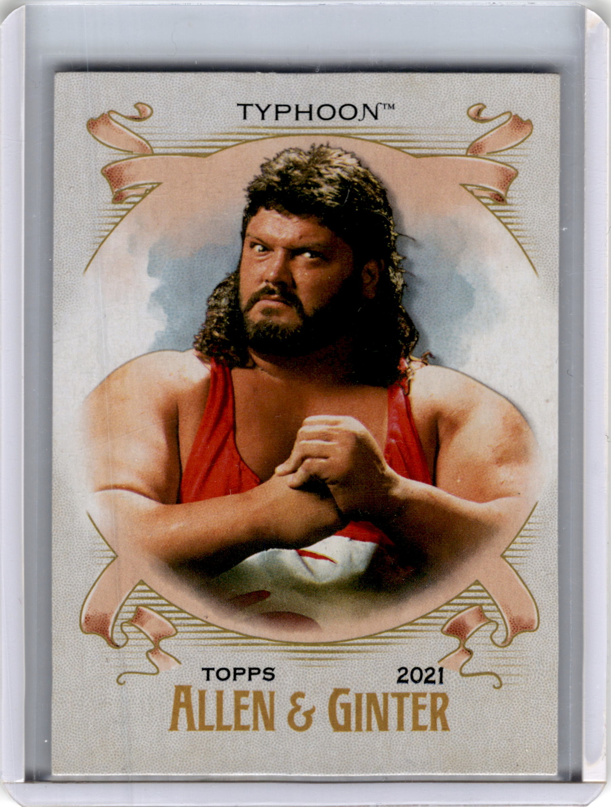 2021 Topps Heritage WWE #AG-22 Typhoon Allen & Ginter