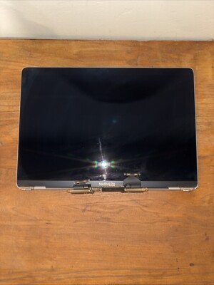 Genuine LCD Screen Assembly 13'' MacbookPro A1989 A2159 2018 2020  - AS IS