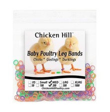 Baby Poultry Leg Bands 1/4" Medium Chick 200