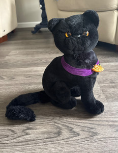 25+ Sabrina Teenage Witch Salem for sale | Updated Oct 2026