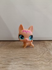 Littlest Petshop LPS #3089 - HASBRO - Chien Boston Terrier Beige Yeux Bleu