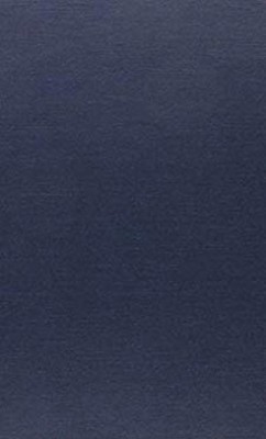 The Semiotics of Visual Languages Hardcover Catalina Bogdan