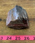 Arizona Petrified Wood, 1.21 Lbs, Jasperized Polished Black Forest! Display! — photo 7