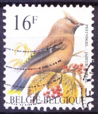 Belgium 1994 used, Bohemian Waxwing, Birds of Buzin  [OS]