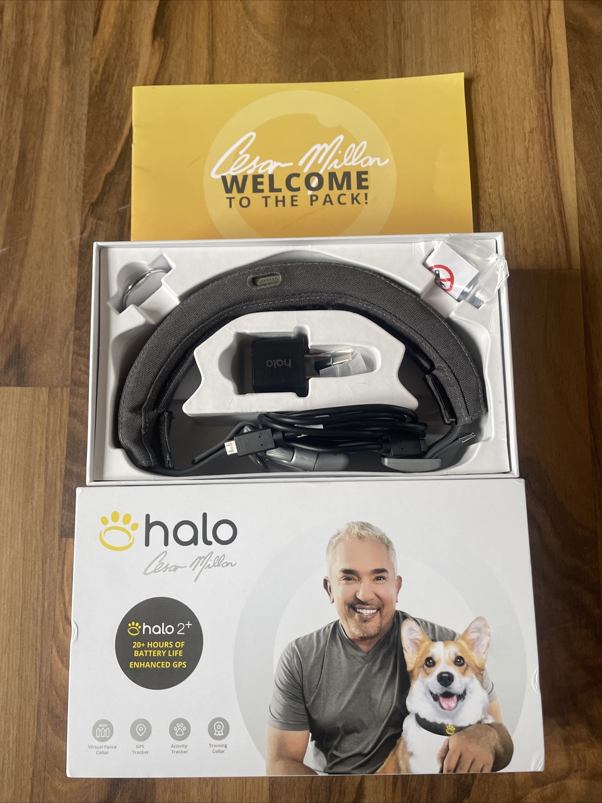 Halo 2+ with Cesar Millan Wireless Dog Fence with GPS Collar Solution Size M 850035906170 eBay