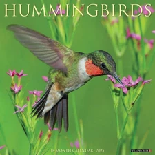 Willow Creek Press Calendars, Hummingbirds 2025 Wall Calendar