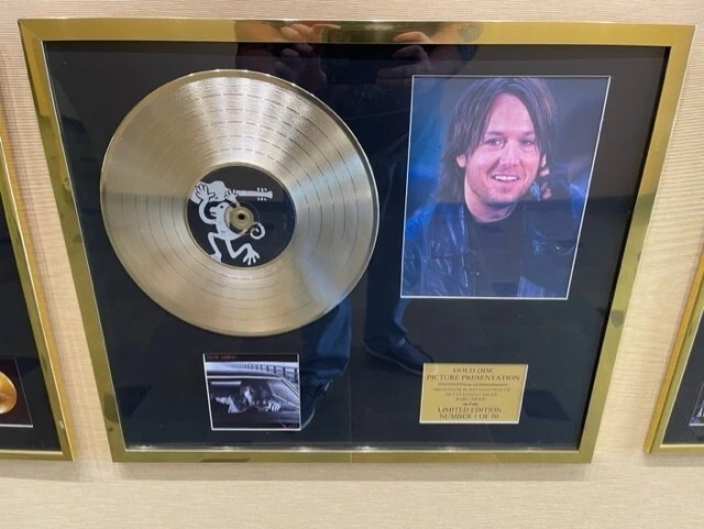 Gold Display Records (Rock, Metal, Pop) - Image 4 of 4