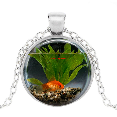 Goldfish Aquarium Round Photo Tibet 