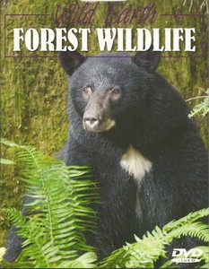 Download WILD EARTH SERIES FOREST WILDLIFE BEARS WOLVES ANIMALS ...