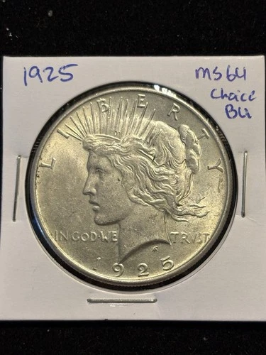 1925 Peace Silver Dollar BU Choice High Grade 💎 Nice Find, White Silver Luster